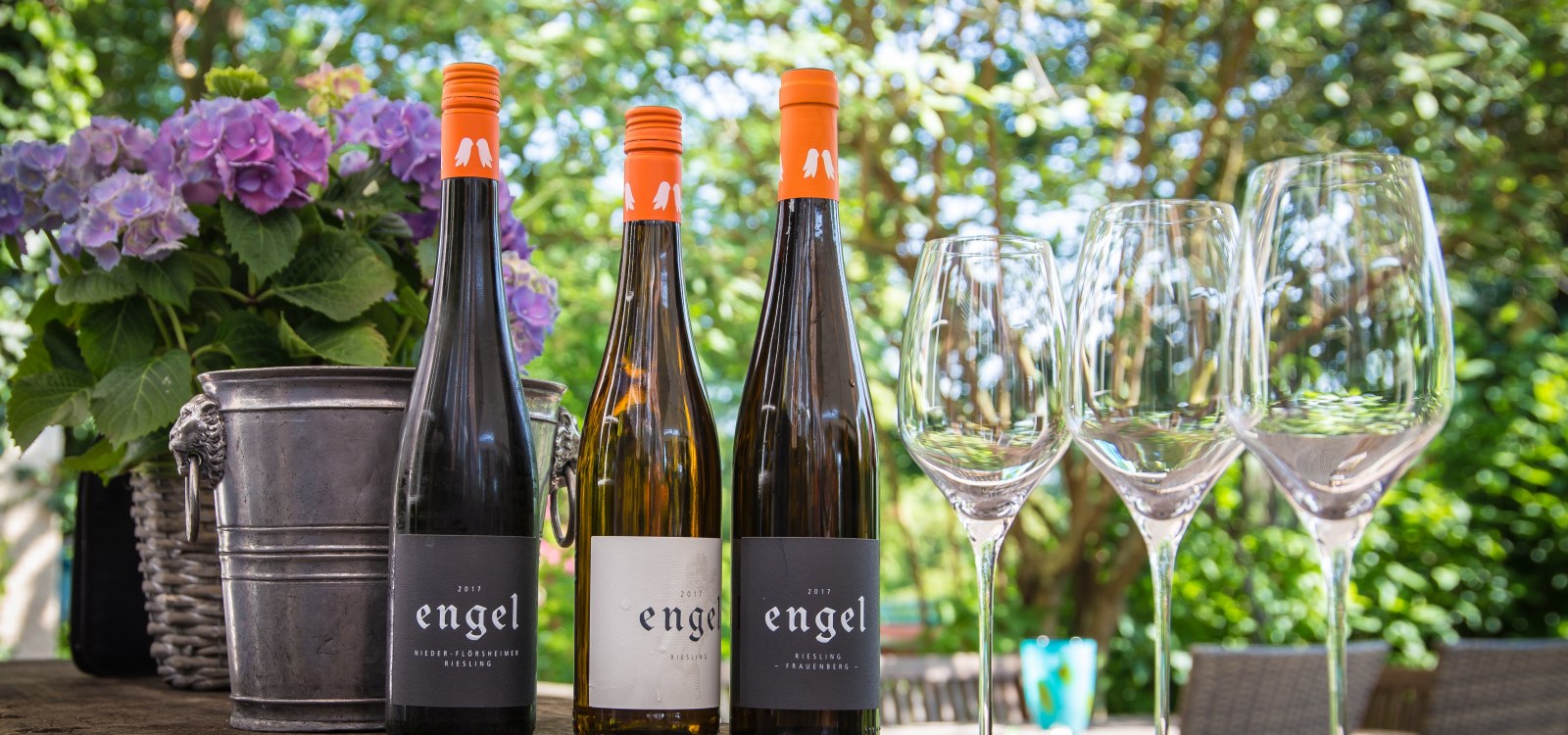 foto_weinflaschen foto_weinflaschen