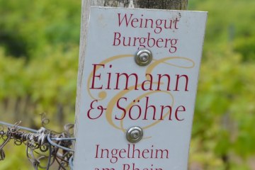 © Weingut Burgberg Eimann & Söhne © Weingut Burgberg Eimann & Söhne