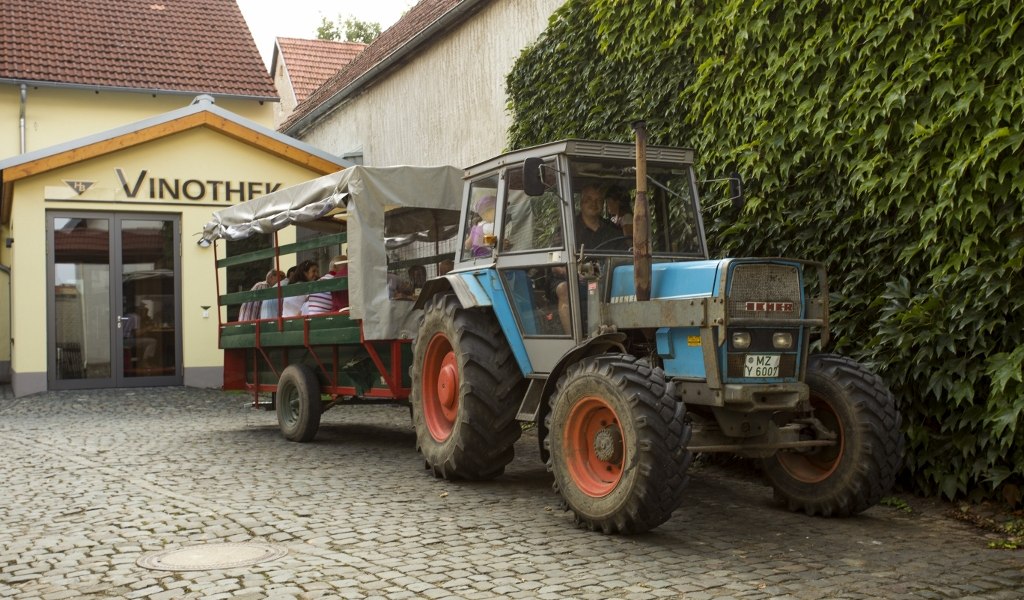 Weingut Helmut Best_Traktor Funzelfahrt, © Weingut Helmut Best Weingut Helmut Best_Traktor Funzelfahrt, © Weingut Helmut Best