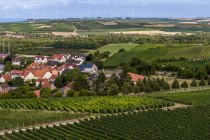 Bermersheimer Hildegardisberg Bermersheimer Hildegardisberg