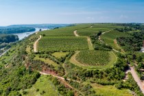 Nackenheimer Rothenberg Nackenheimer Rothenberg