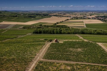 Monzernheimer Goldberg Monzernheimer Goldberg