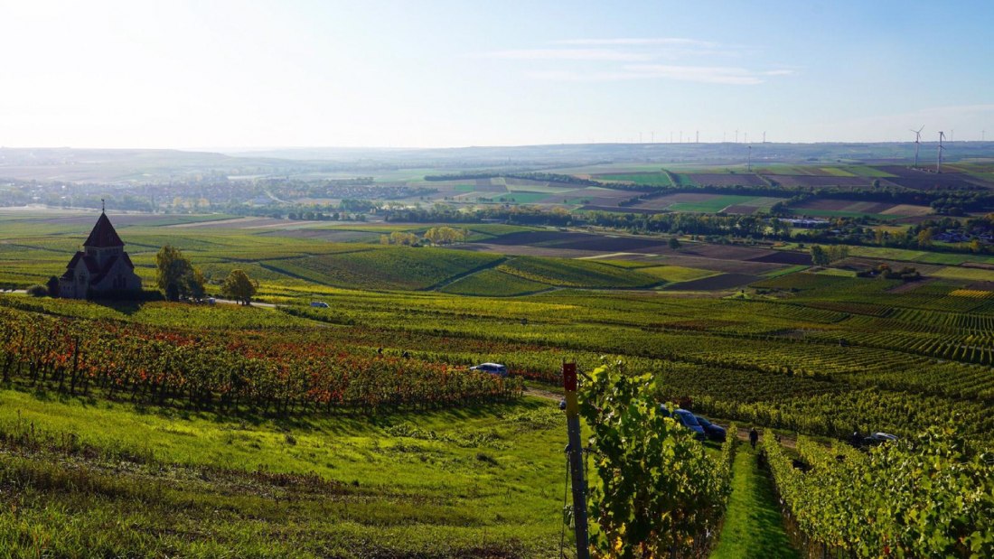 Weingut Schnabel_Weinberge, © Weingut Schnabel Weingut Schnabel_Weinberge, © Weingut Schnabel
