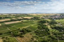 Partenheimer Sankt Georgen, © Torsten Silz Partenheimer Sankt Georgen, © Torsten Silz