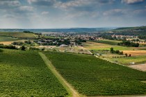 Stadecker Lenchen Stadecker Lenchen