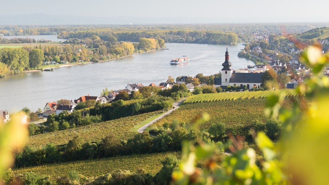 Weingut Heise am Kranzberg_Rhein 2, © Weingut Heise am Kranzberg Weingut Heise am Kranzberg_Rhein 2, © Weingut Heise am Kranzberg