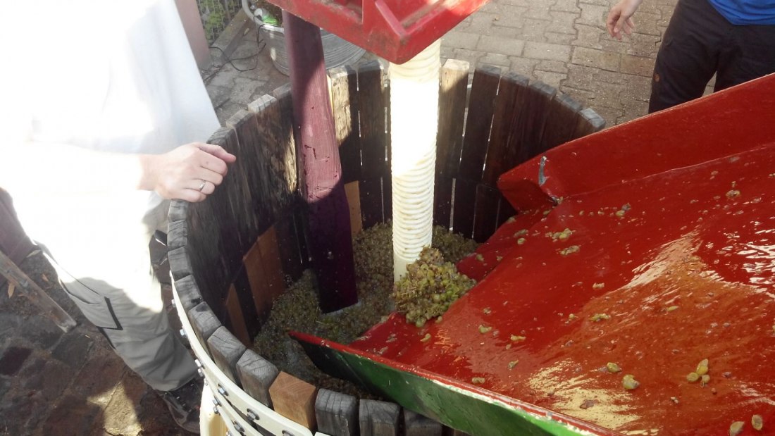 Weingut Tobias Hahn_Presse, © Weingut Tobias Hahn Weingut Tobias Hahn_Presse, © Weingut Tobias Hahn