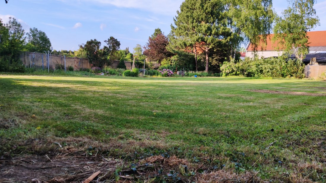 img_20210612_193231 img_20210612_193231