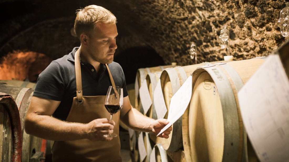 Weingut Dackermann_Winzer im Keller, © Weingut Dackermann Weingut Dackermann_Winzer im Keller, © Weingut Dackermann