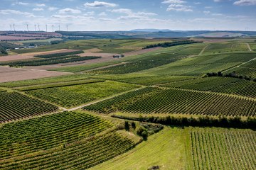 Flonheimer Binger Berg Flonheimer Binger Berg