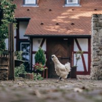 JUK_druck_24_07_aussen_so_franz_wuestenberg_25 JUK_druck_24_07_aussen_so_franz_wuestenberg_25