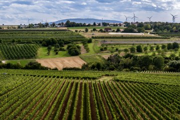 Ober-Flörsheimer Blücherpfad Ober-Flörsheimer Blücherpfad