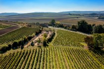 Eckelsheimer Kirchberg Eckelsheimer Kirchberg