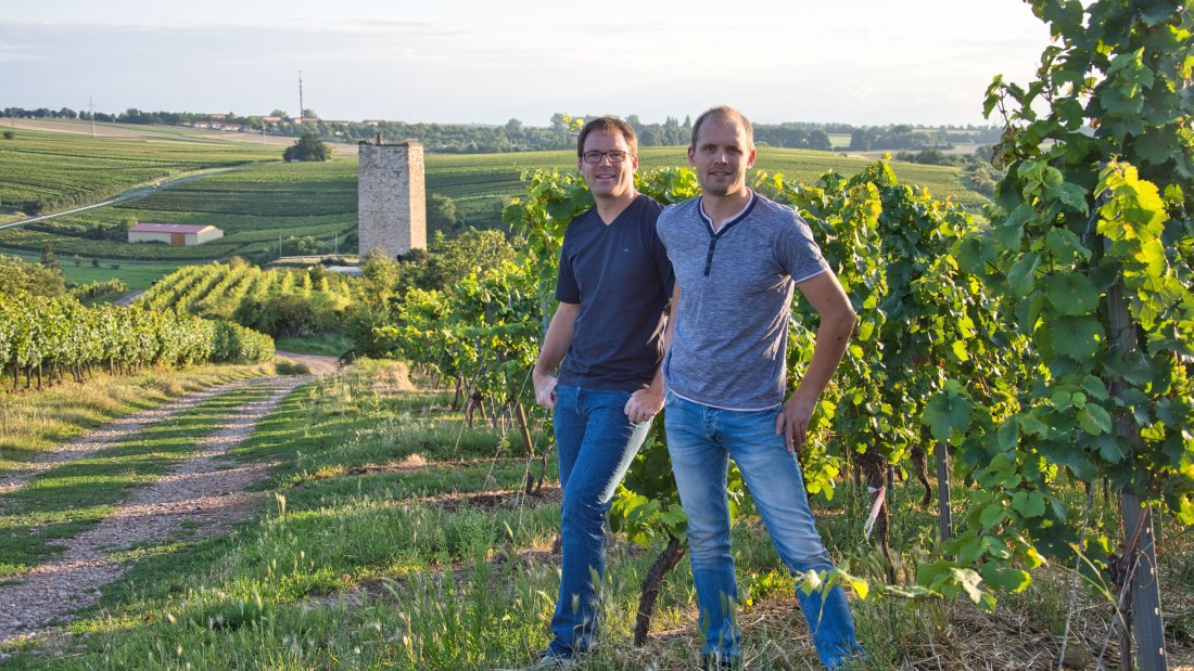 © Weingut Georg Gustav Huff © Weingut Georg Gustav Huff