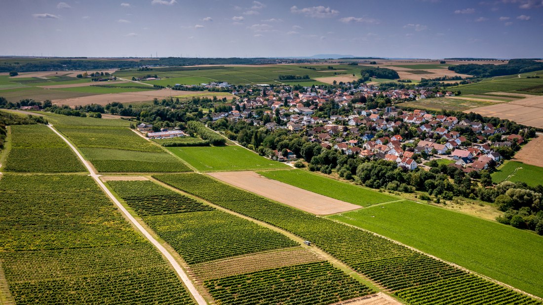 Appenheimer Hundertgulden Appenheimer Hundertgulden