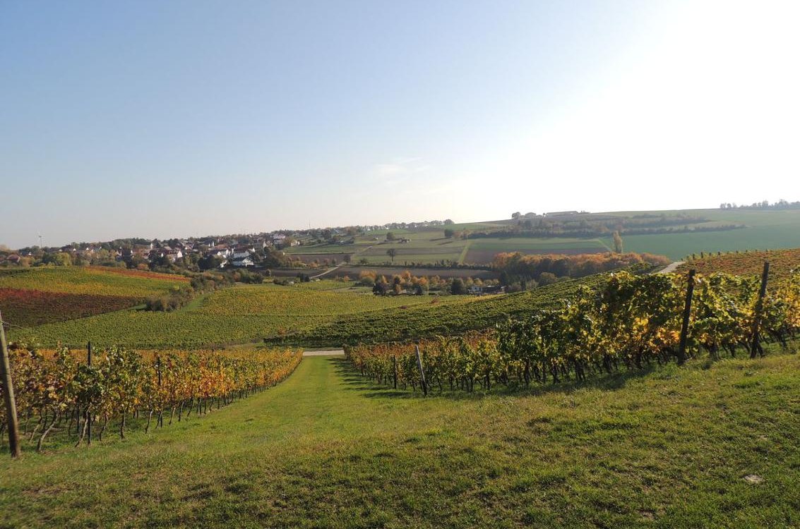 Weingut Seck_Dolgesheim, © Weingut Seck Weingut Seck_Dolgesheim, © Weingut Seck