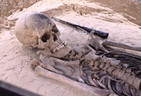 Grab 447 - Skelett © Kristina Schaefer/IKuM GmbH Grab 447 - Skelett © Kristina Schaefer/IKuM GmbH