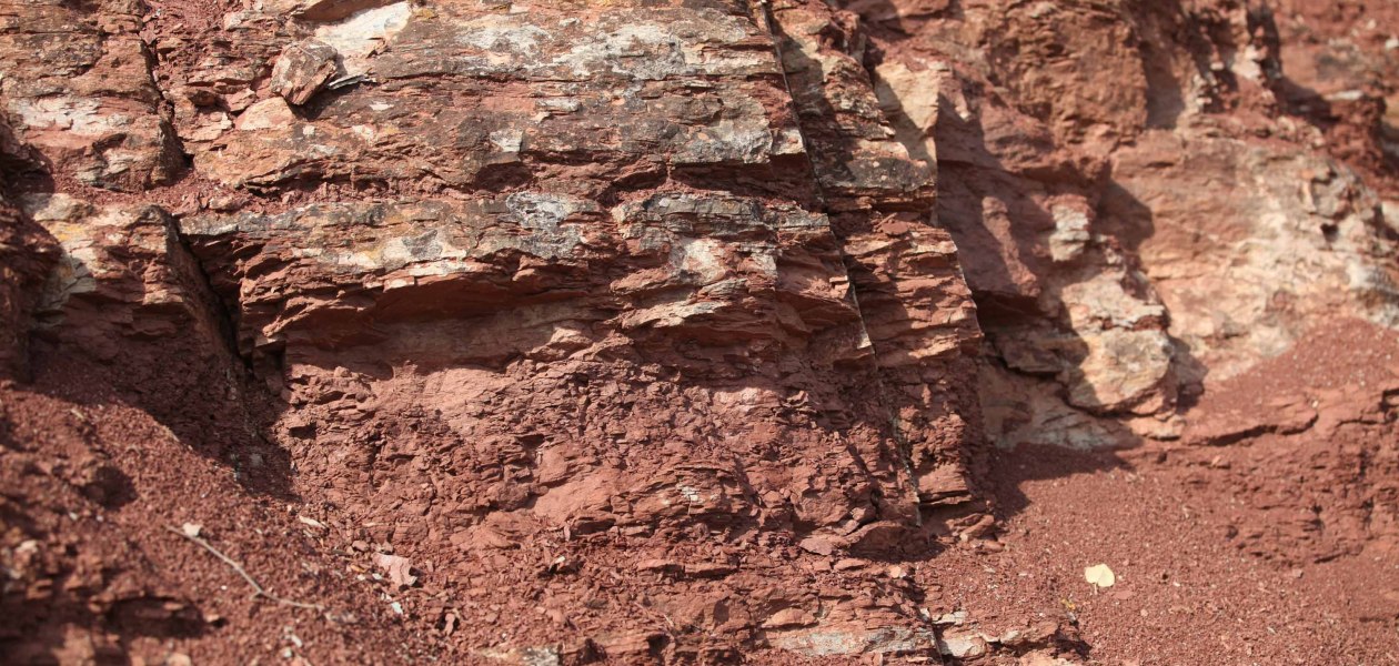 Weingut Strub_Roter Hang, © Michael von Haugwitz Weingut Strub_Roter Hang, © Michael von Haugwitz