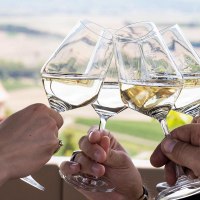 Weintour Weintour