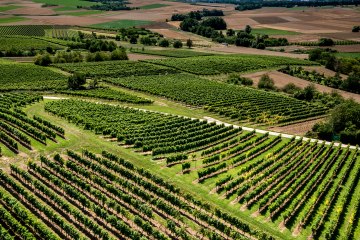 Klein-Winternheimer Geiershölle Klein-Winternheimer Geiershölle