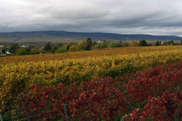 New Andreas Durst, © Andreas thirst New Andreas Durst, © Andreas thirst