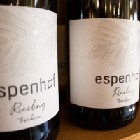 Vinothek, Rheinhessenweine Vinothek, Rheinhessenweine