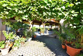 Weinlaube Lich Weinlaube Lich