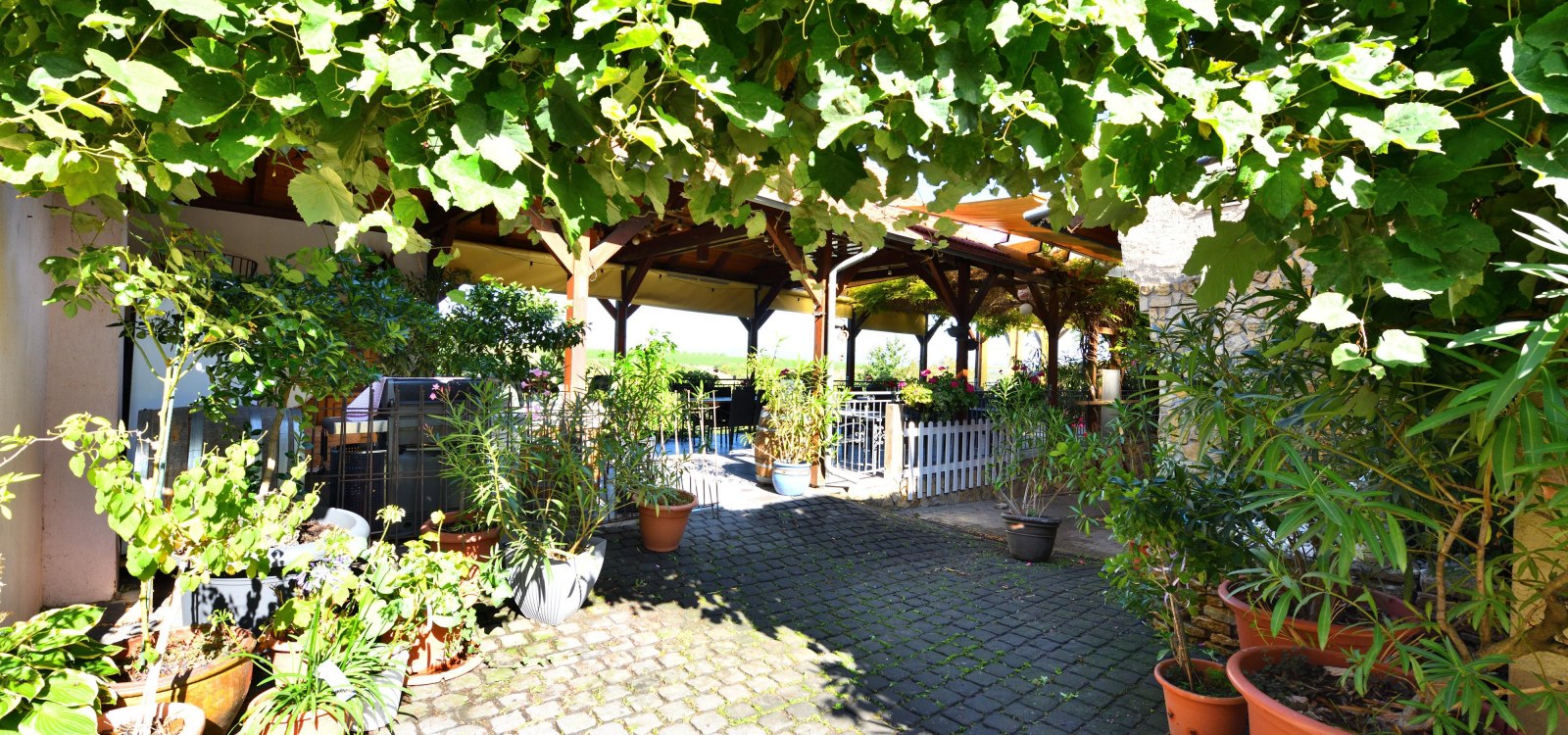 Weinlaube Lich, © Weingut Lich Weinlaube Lich, © Weingut Lich