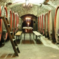 Weinkeller © Bungert Weinkeller © Bungert