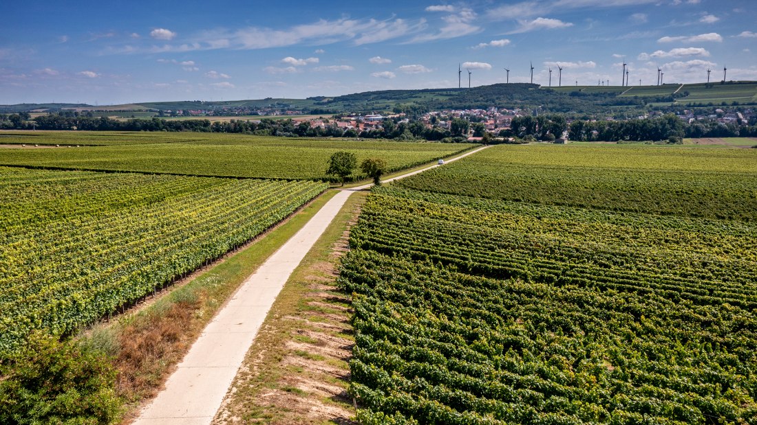 Flonheimer Binger Berg Flonheimer Binger Berg