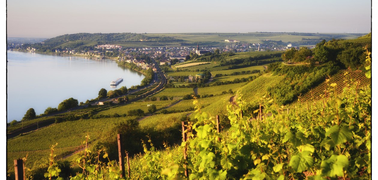 pano-hipping-250x150-02_1, © Weingut Wedekind pano-hipping-250x150-02_1, © Weingut Wedekind