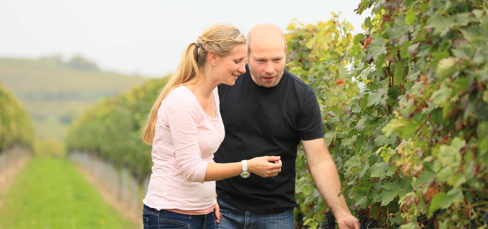Weingut Klieber_Winzer, © Weingut Klieber Weingut Klieber_Winzer, © Weingut Klieber