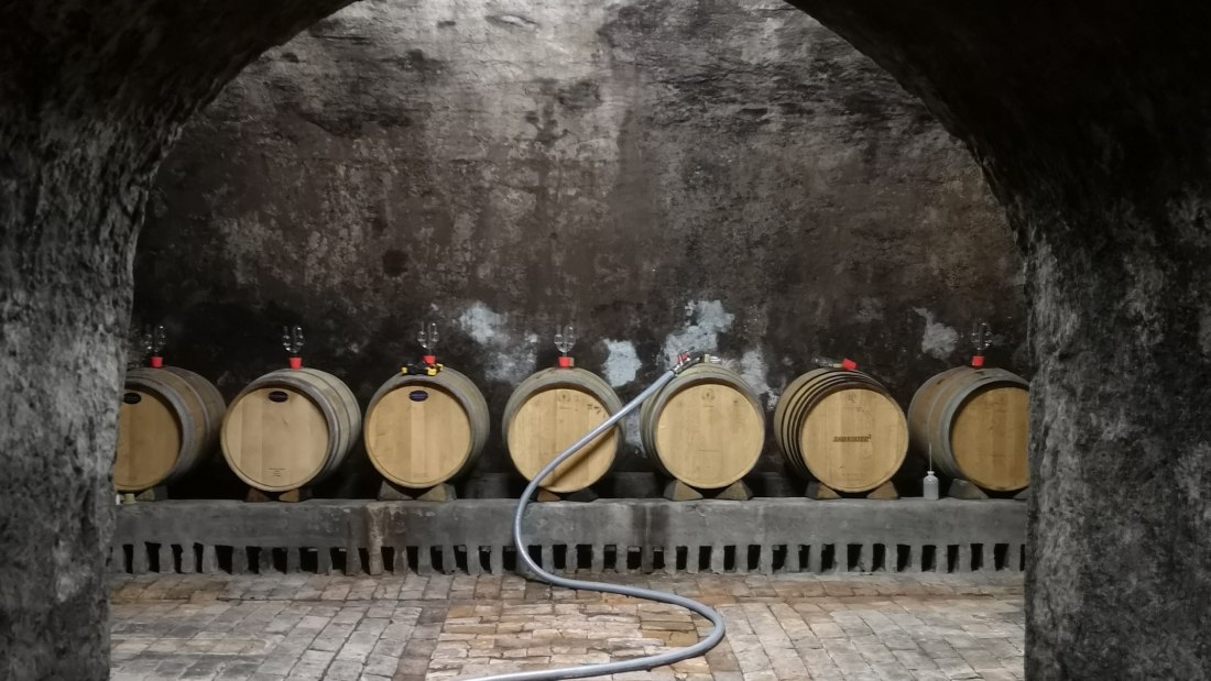 Weingut Dr. Alex Senfter_Keller, © Weingut Dr. Alex Senfter Weingut Dr. Alex Senfter_Keller, © Weingut Dr. Alex Senfter