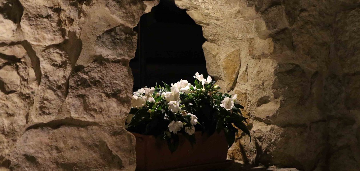 Weingut Schulz_Blumen, © Weingut Schulz Weingut Schulz_Blumen, © Weingut Schulz