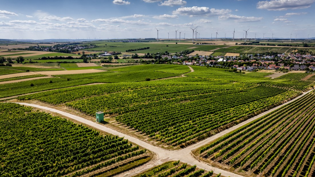 Bechtolsheimer Klosterberg, © Torsten Silz Bechtolsheimer Klosterberg, © Torsten Silz