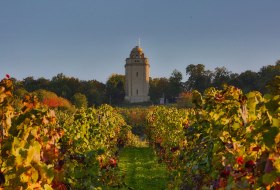 Bismarck tower with vineyards © Rainer Oppenheimer Bismarck tower with vineyards © Rainer Oppenheimer