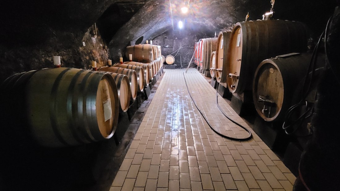 Weingut Bürgermeister Carl Koch_Keller, © Weingut Bürgermeister Carl Koch Weingut Bürgermeister Carl Koch_Keller, © Weingut Bürgermeister Carl Koch