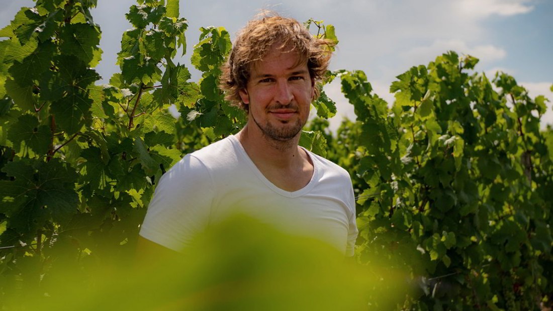 Weingut Gebert_Jan im Weissburgunder Weinberg, © Weingut Gebert Weingut Gebert_Jan im Weissburgunder Weinberg, © Weingut Gebert