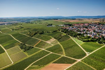 Essenheimer Teufelspfad Essenheimer Teufelspfad