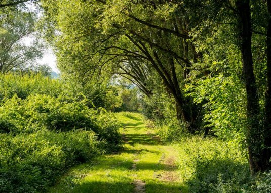 Naturschutzgebiet Gartenwiese © Dominik Ketz Naturschutzgebiet Gartenwiese © Dominik Ketz