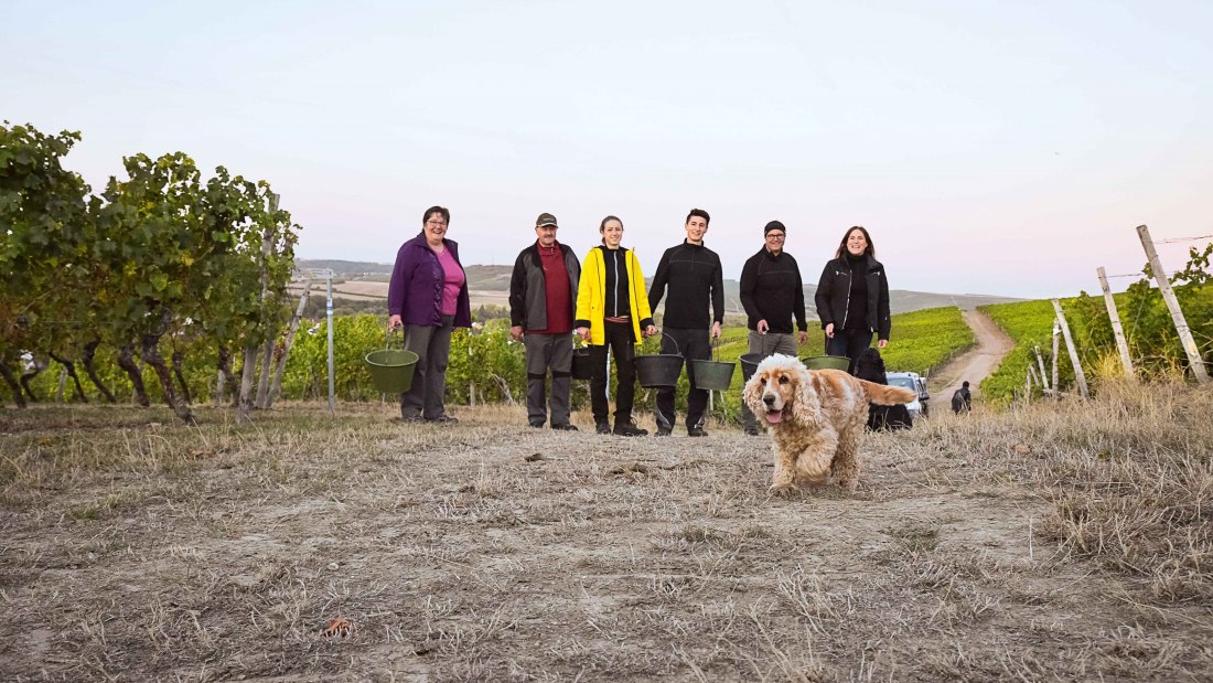 Weingut Eppelmann_Familie, © Weingut Eppelmann Weingut Eppelmann_Familie, © Weingut Eppelmann