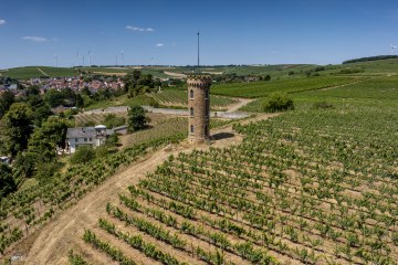 Weinheimer Heiliger Blutberg, © Torsten Silz Weinheimer Heiliger Blutberg, © Torsten Silz