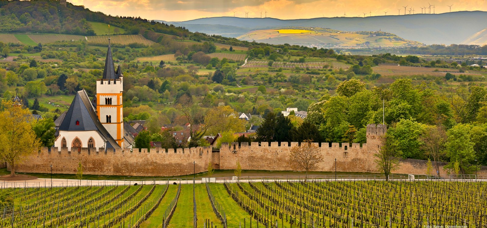 Vanaf de Mainzerberg heb je een fantastisch uitzicht over het kasteelkerkterrein en de Westerberg. Op de achtergrond zie je de Kandrich van het Ingelheim-bos bij Rheinböllen., © Rainer Oppenheimer Vanaf de Mainzerberg heb je een fantastisch uitzicht over het kasteelkerkterrein en de Westerberg. Op de achtergrond zie je de Kandrich van het Ingelheim-bos bij Rheinböllen., © Rainer Oppenheimer
