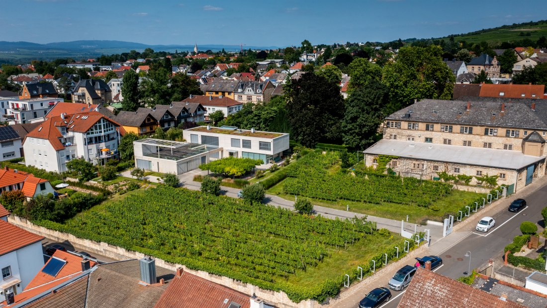 Ingelheimer Sonnenberg-DJI_0028.DNG, © Torsten Silz Ingelheimer Sonnenberg-DJI_0028.DNG, © Torsten Silz