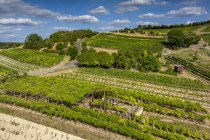 Sankt Johanner Klostergarten, © Torsten Silz Sankt Johanner Klostergarten, © Torsten Silz
