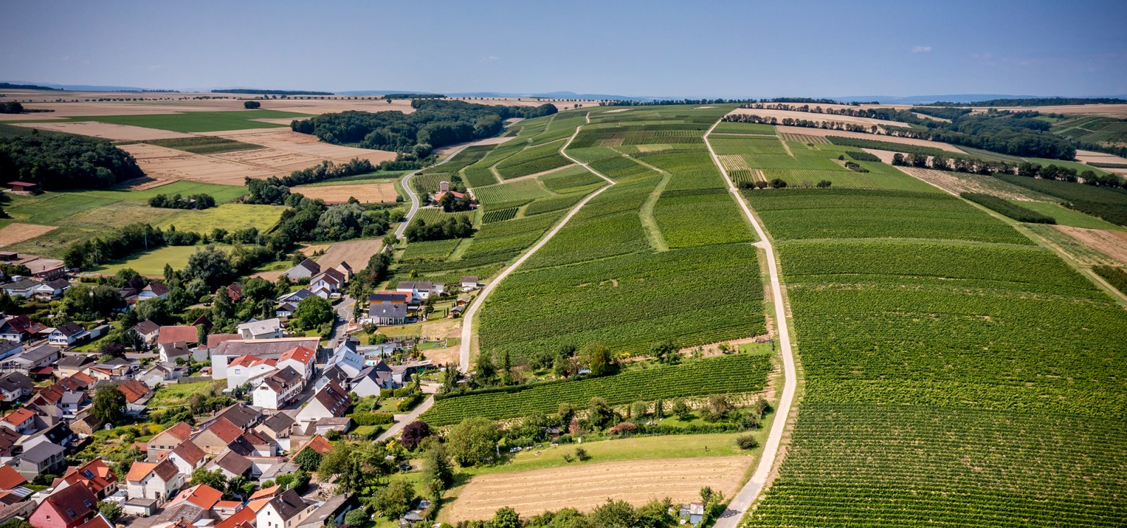 Appenheimer Eselspfad Appenheimer Eselspfad