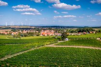 Dittelsheimer Geiersberg Dittelsheimer Geiersberg