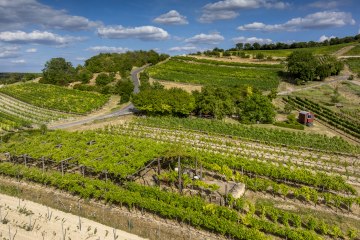 Sankt Johanner Klostergarten, © Torsten Silz Sankt Johanner Klostergarten, © Torsten Silz