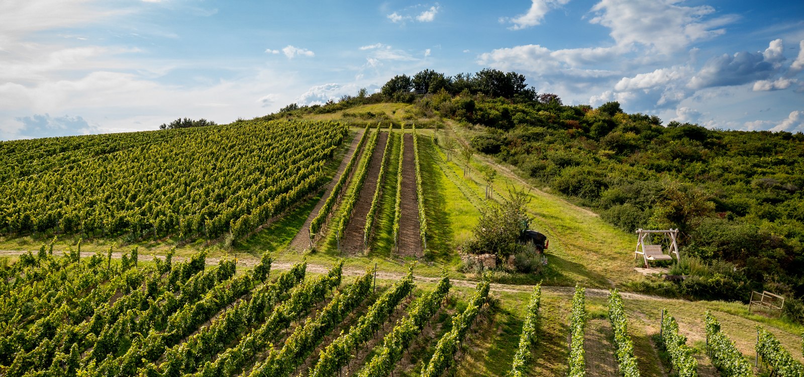 Gau-Odernheimer Herrgottspfad