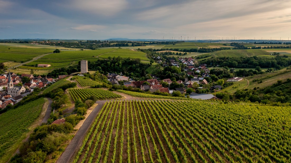 Niersteiner Schlo&szlig; Schwabsburg